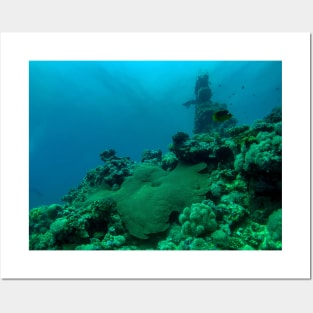 Coral reef and scuba diver Posters and Art